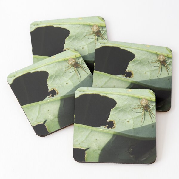 Item preview, Spider And Bug Or The Witch's Collection designed and sold by MeyrellesMartin.