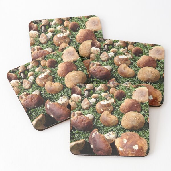 Item preview, Boletus edulis - edible mushroom designed and sold by Danler.
