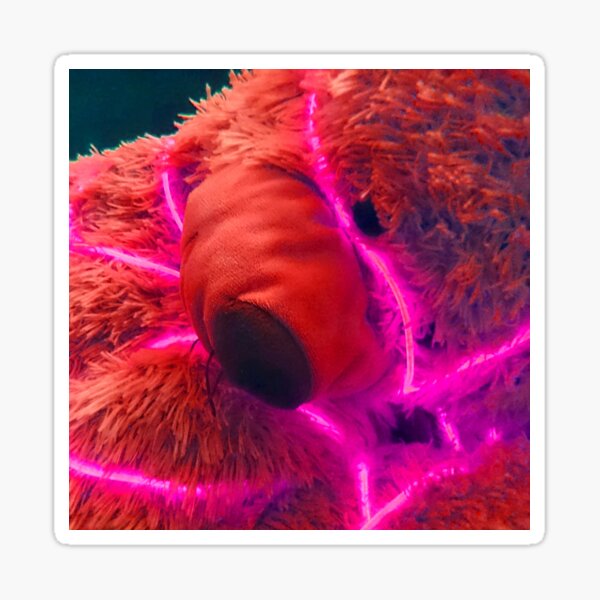 Neon Bear Sticker