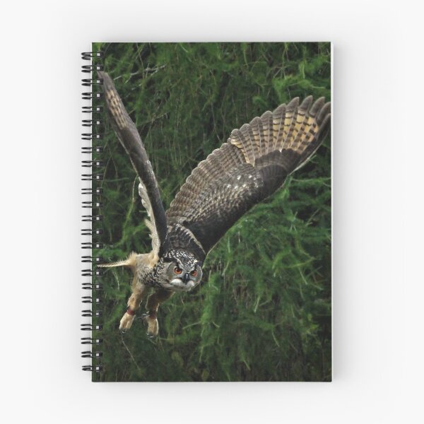Item preview, Burrowing Owl designed and sold by Ladymoose.