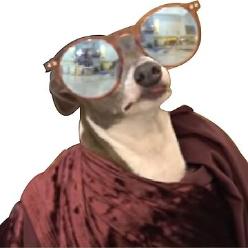 Vorschaubild zum Design Kermit Sonnenbrillen - Jenna Murmeln von finniel