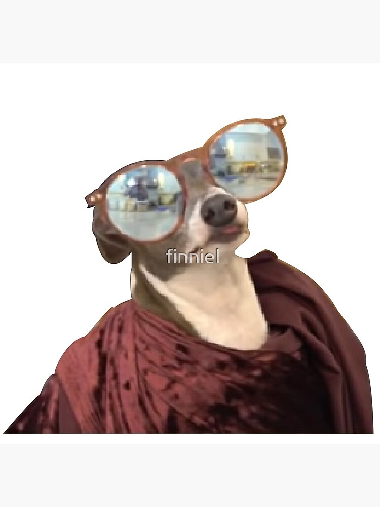 "kermit sunglasses jenna marbles" Throw Pillow for Sale by finniel