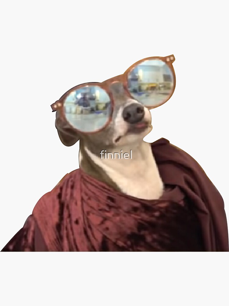 Thumbnail 3 von 3, Sticker, Kermit Sonnenbrillen - Jenna Murmeln designt und verkauft von finniel.