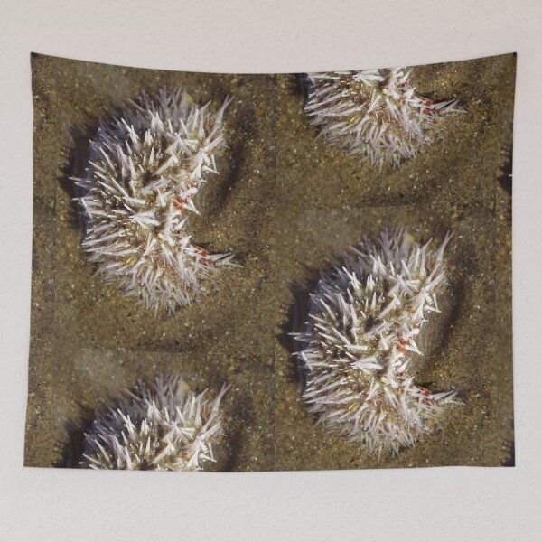 Item preview, Little Urchin designed and sold by MeyrellesMartin.