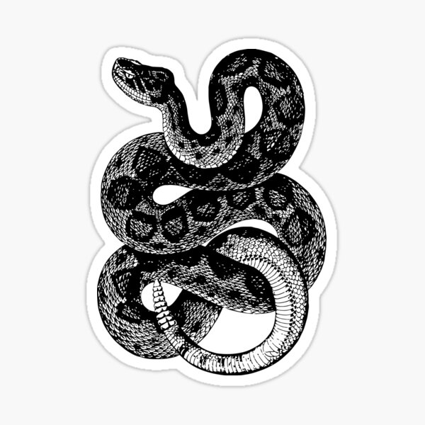 Item preview, Snake Snek Vintage Illustration Rattlesnake designed and sold by Givemepoison.