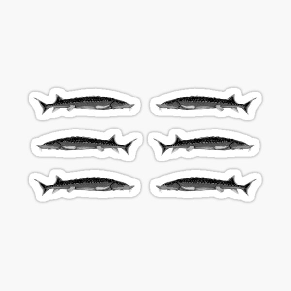 Item preview, Aquatic Animals - Atlantic sturgeon fish designed and sold by Made By Nishi | Nishi Wojnar.