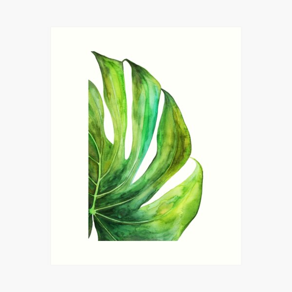 Tropical green leaf. Art Print