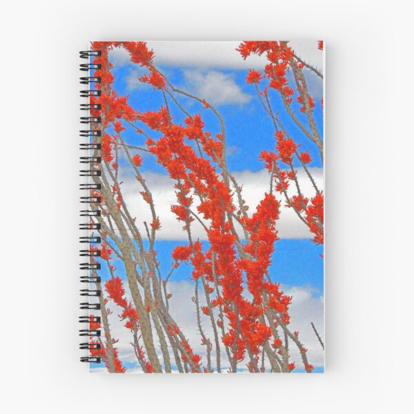 Item preview, Ocotillo Cactus Blossoms, N.M. designed and sold by William E Lopez.