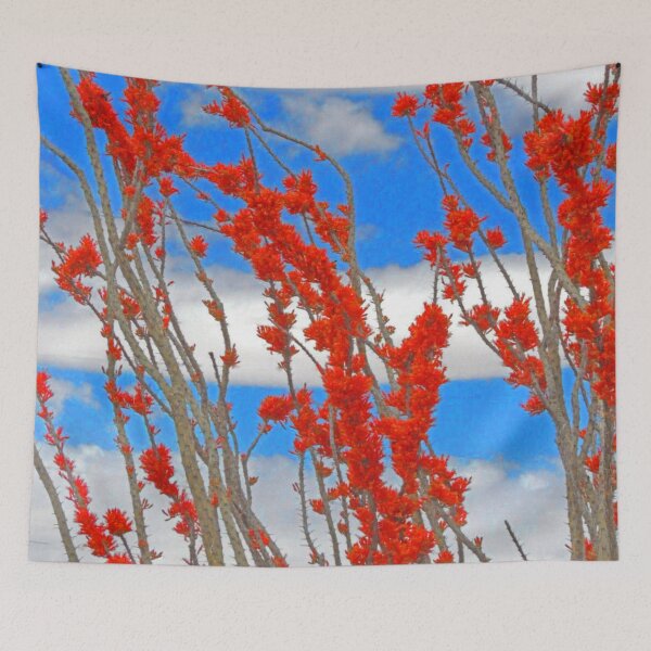 Item preview, Ocotillo Cactus Blossoms, N.M. designed and sold by William E Lopez.