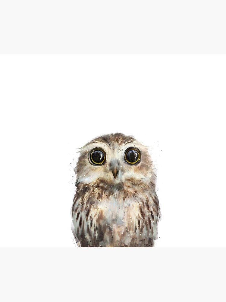 Little Owl by AmyHamilton