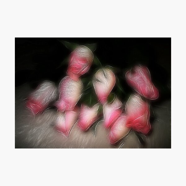 Item preview, Pink and white roses designed and sold by Patriciakb.