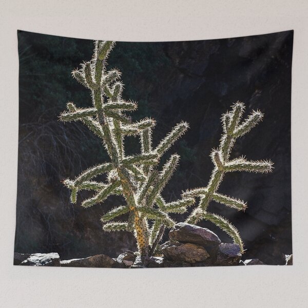 Item preview, Cholla Cactus, Dripping Springs, NM designed and sold by William E Lopez.