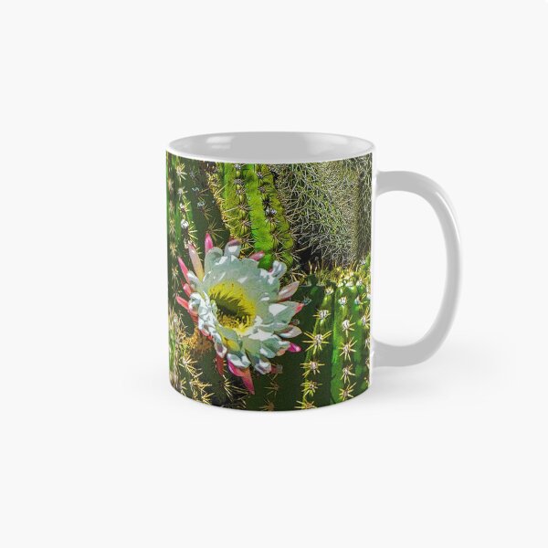 Item preview, Mini Barrel Cactus Blossoms, Las Cruces, NM designed and sold by William E Lopez.