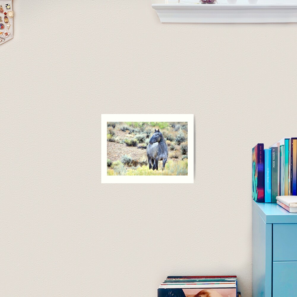 The Watchful Eye - Wild Blue Roan Stallion Art Print