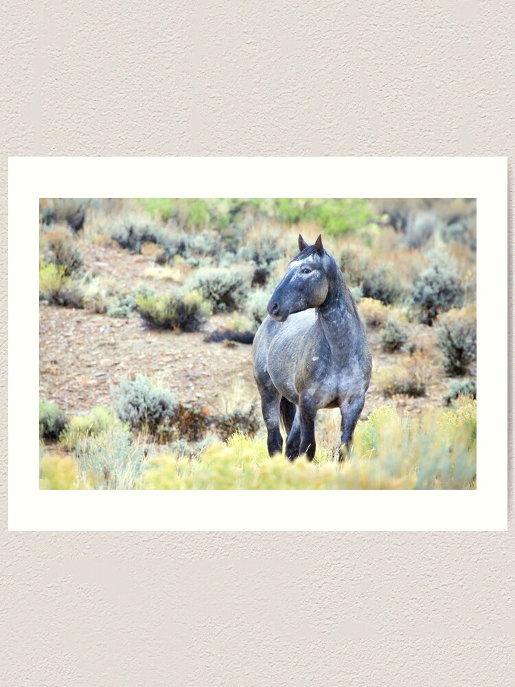 Alternate view of The Watchful Eye - Wild Blue Roan Stallion Art Print