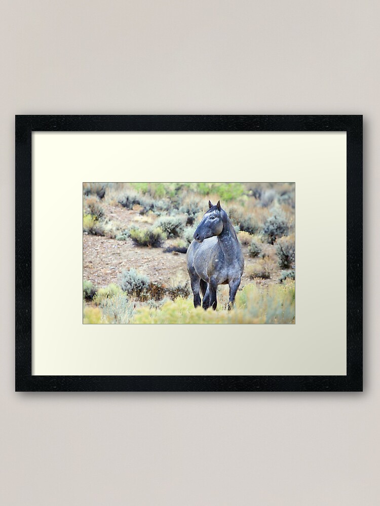 Alternate view of The Watchful Eye - Wild Blue Roan Stallion Framed Art Print