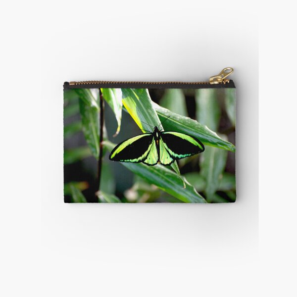 Item preview, Cairns Birdwing designed and sold by GP1746.