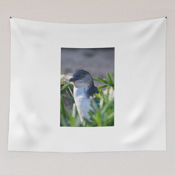 Item preview, Fairy Penguin designed and sold by GP1746.