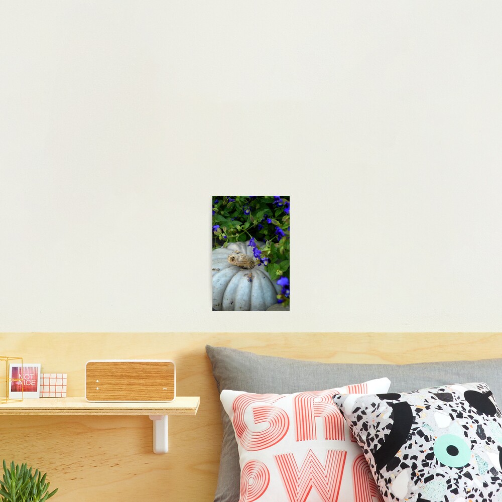 Pumpkin and Purple Flowers Photographic Print