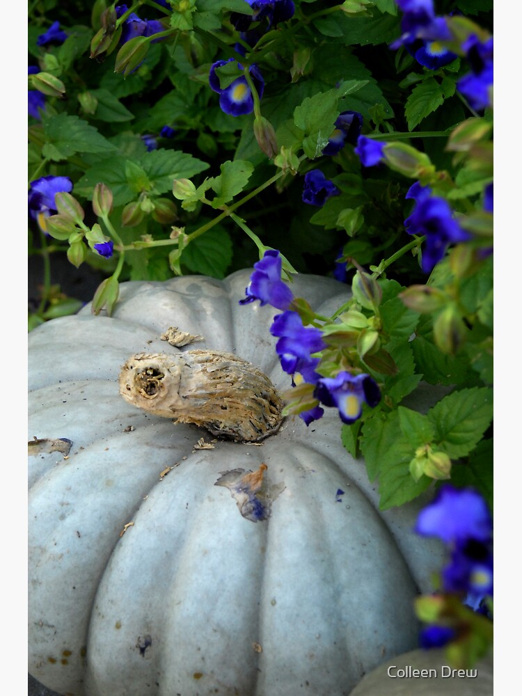 Pumpkin and Purple Flowers by colgdrew