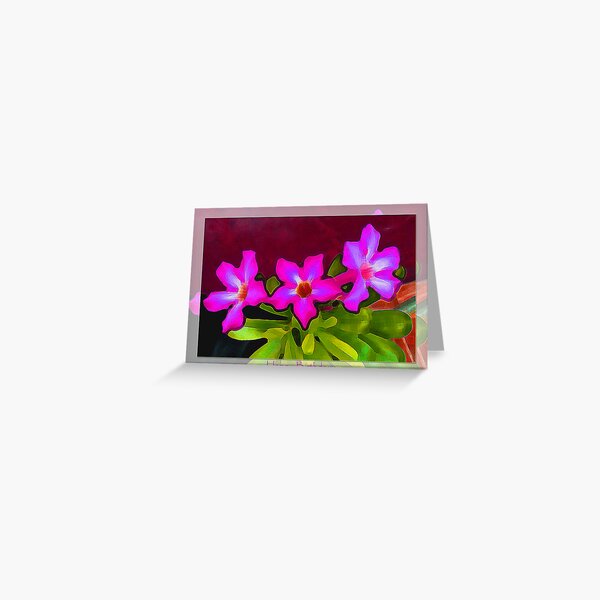 Greeting cards- Happy Birthday 2 Greeting Card