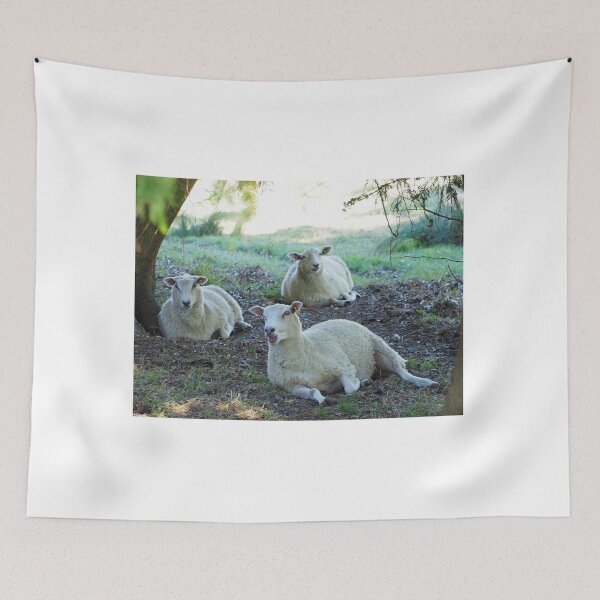 Item preview, Ewes enjoying the shade........Cricket St Thomas. Somerset UK designed and sold by lynn carter.