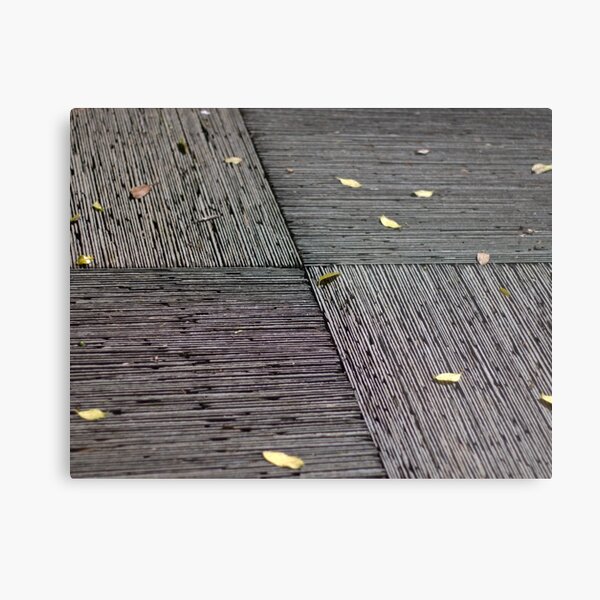 Metal Print