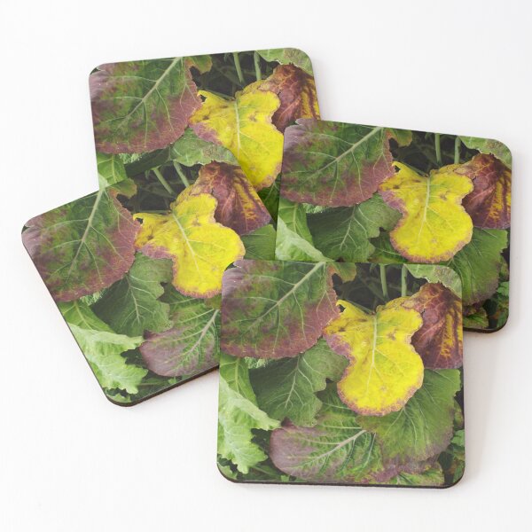 Item preview, Brassica Dressed in Leaves designed and sold by MeyrellesMartin.