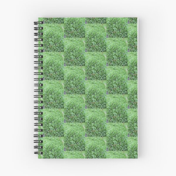 Item preview, Flourishing flora designed and sold by MagsArt.