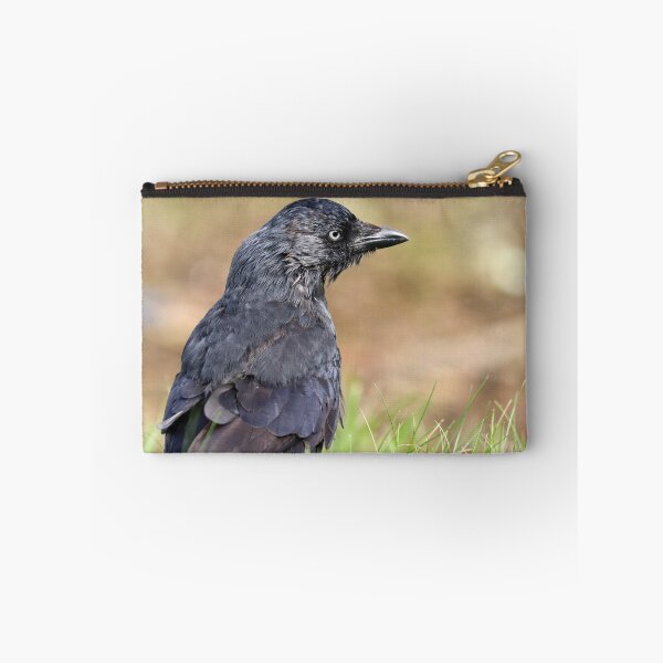 Item preview, Scruffy jackdaw designed and sold by GreyFeatherPhot.
