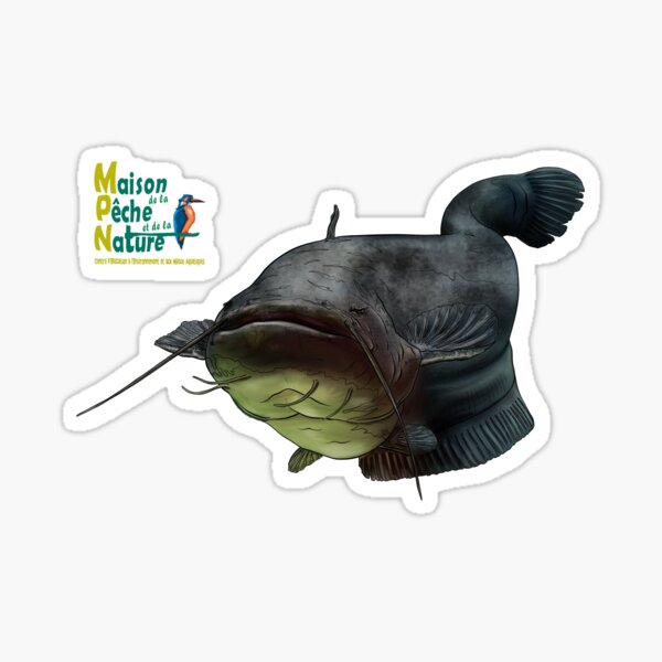 Silure Sticker