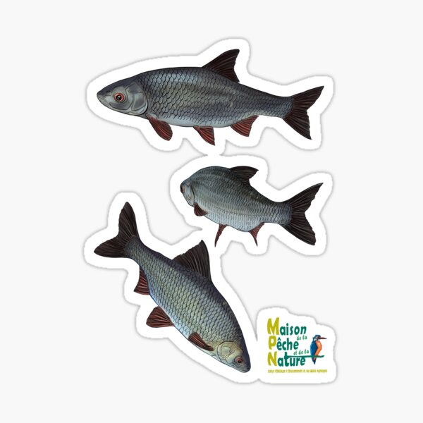 Gardons Sticker