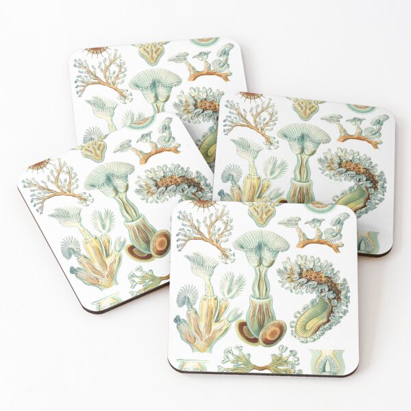 Item preview, Ernst Haeckel - Scientific Illustration - Bryozoa designed and sold by ShaMiLaB.