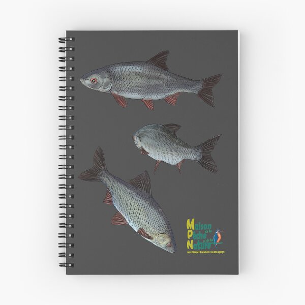 Item preview, keep designed and sold by Maison Peche Nature.