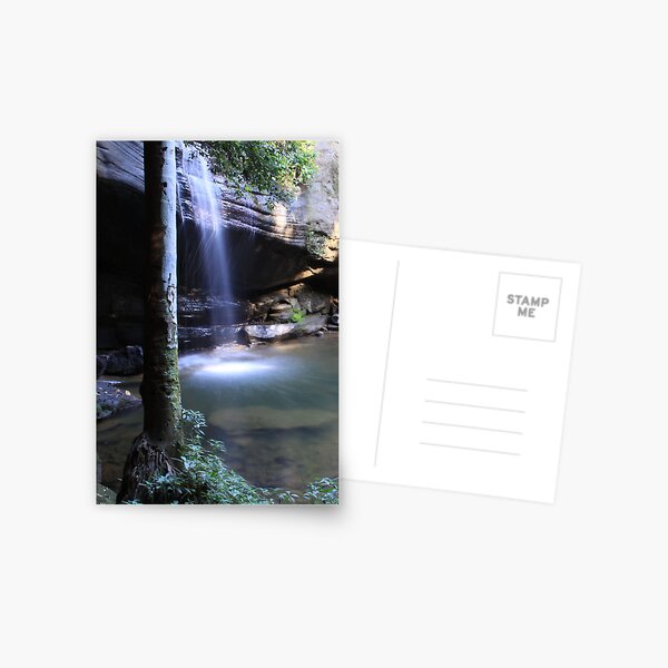 Buderim Waterfall QLD Postcard