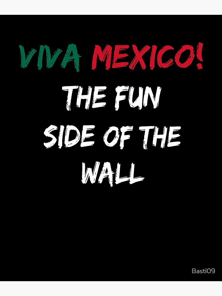 Viva Mexico! Fun Side Of The Wall Novelty Graphic T Shirt