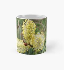 Pussy Willow Catkins Mug