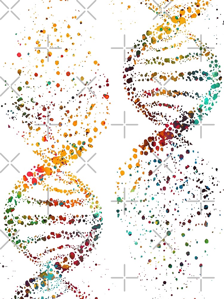 DNA, Watercolor Art,Dna double helix genetic by erzebetth