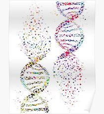 DNA, Watercolor Art,Dna double helix genetic Poster