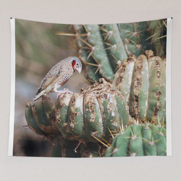 Item preview, Pinzón cortador designed and sold by Lorna Mulligan.