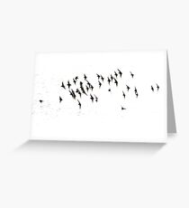 Stormo di storni Greeting Card