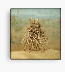 The Anatomy of a Parallel Universe Canvas Print
