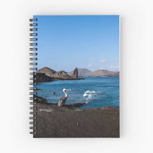 Item preview, Pelican on Bartolome Island, Galapagos designed and sold by RosNapier.