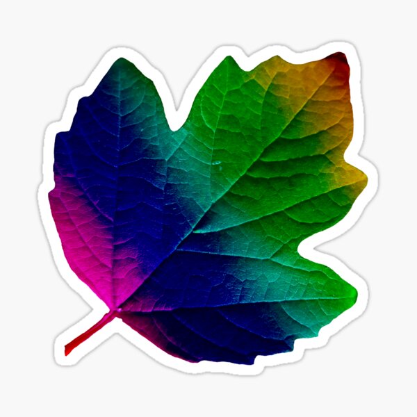 wundervolles, buntes Blatt, Herbst, Baum, Laub, Jahreszeit Sticker