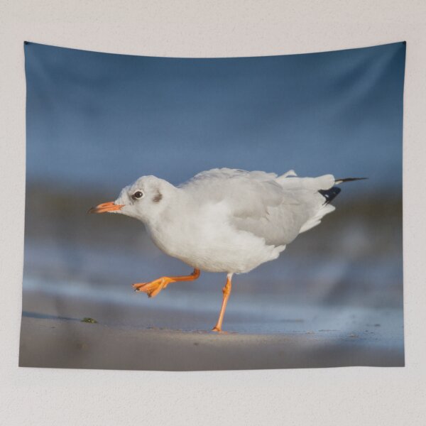 Item preview, Black-Headed Gull designed and sold by Dominika Aniola.