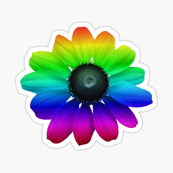 wunderschöne bunte Blume, Regenbogen, Blüte, Natur, bunt Sticker