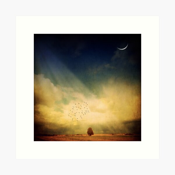 Item preview, Echo Of A Sigh designed and sold by Philippe Sainte-Laudy.