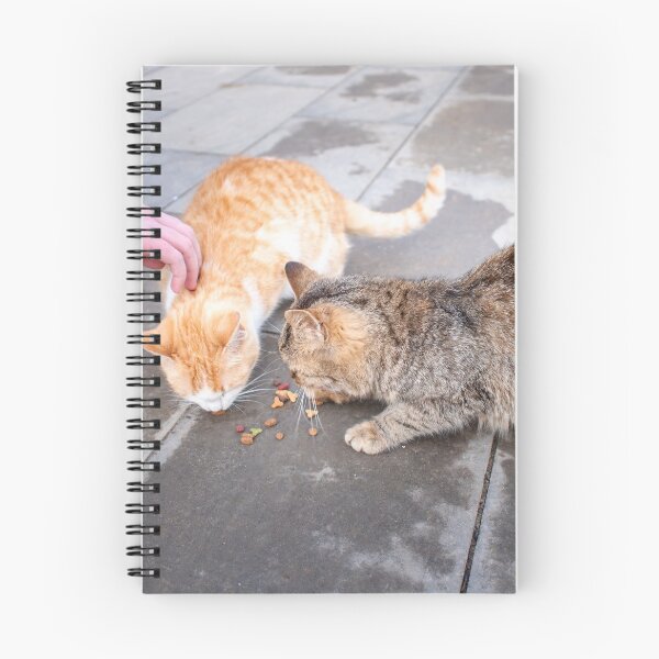 Item preview, The hand of a teenage girl with food and two hungry stray cats on the street eat food on the pavement designed and sold by vladromensky.