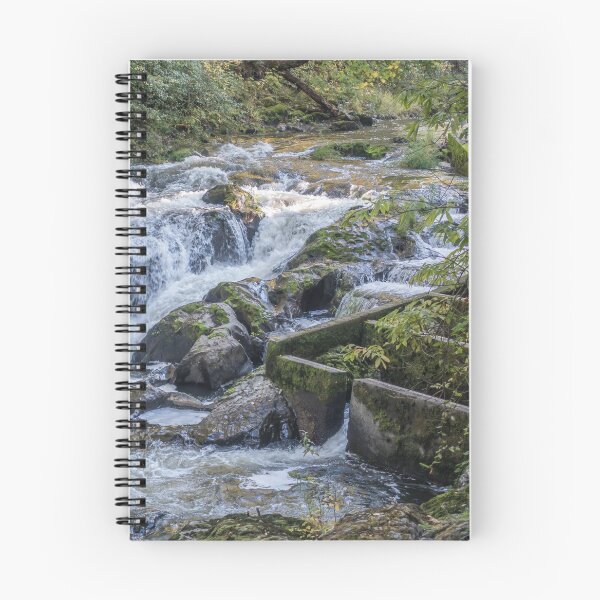 Item preview, River And Fish Ladder designed and sold by georgecolephoto.
