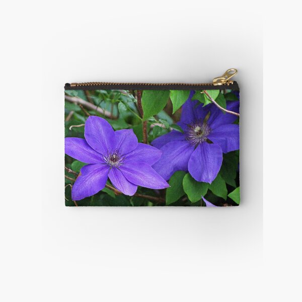 Item preview, Clematis designed and sold by Gilda Axelrod.